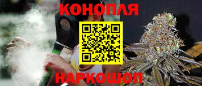 шишки Обнинск