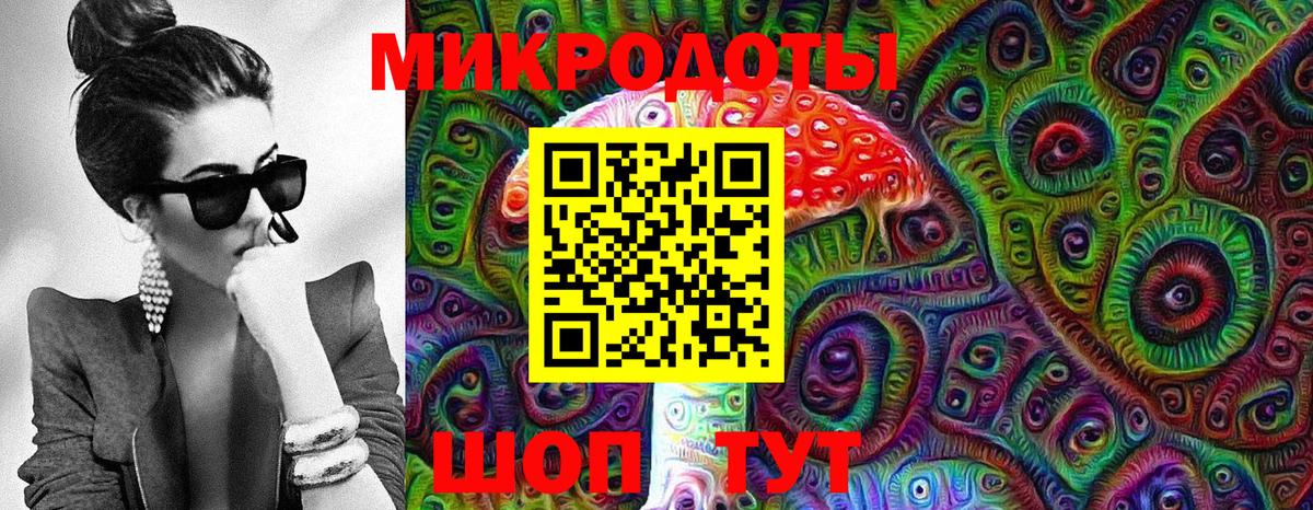 Галлюциногенные грибы Psilocybine cubensis  Галлюциногенные грибы мицелий  Рубцовск  Вход с VPN 