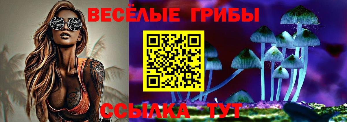 Псилоцибиновые грибы Psilocybe Рубцовск
